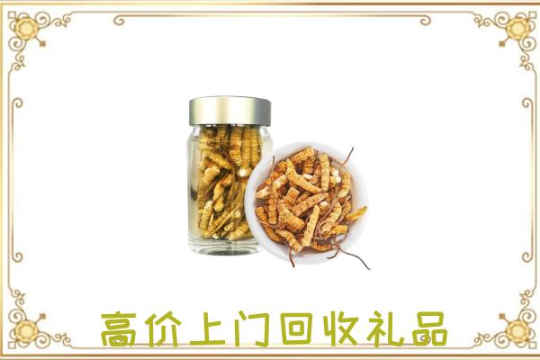 梧州周边回收虫草